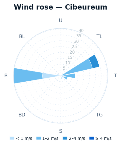 Wind rose Cibeureum